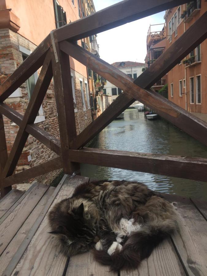 Mori 1 Con Bella Vista Nuovo Appartamento Venice Luaran gambar